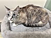 Mom - Photo 4