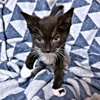 Simone - Photo 3
