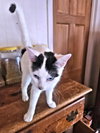 Tammy - Photo 2