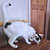 Tammy - Photo 3