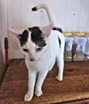 Tammy - Photo 4