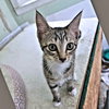 Presley - Photo 2