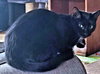 Tootsie Roll - Photo 2