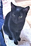 Tootsie Roll - Photo 3