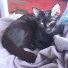Nora - Photo 2