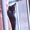 Nora - Photo 3