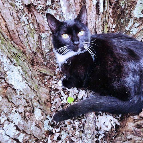 Photo 2 of Pippa
