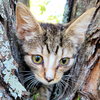 Milo - Photo 1
