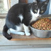 Sienna - Photo 2