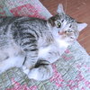 Rolo - Photo 3