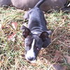 Princess - Photo 1