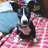 Princess - Photo 4