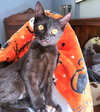 Rusty - Photo 1