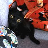 Rusty - Photo 4