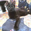 Rusty - Photo 3
