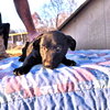 Ember - Photo 4