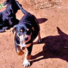 Hunter - Photo 1