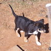 Hunter - Photo 3