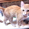 Keith - Photo 2