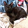 Leo Pitman - Photo 3