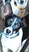 Spanky - Photo 3