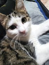 Butterfinger - Photo 3