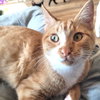 Graham - Photo 2