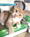 Graham - Photo 3