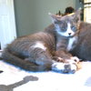 Clive - Photo 3
