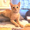 Franklin - Photo 2