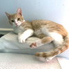 Owen - Photo 3