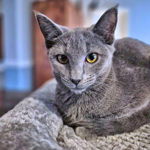 Parker Image