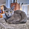Parker - Photo 2