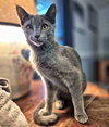 Parker - Photo 4
