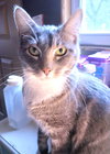 Prince - Photo 2