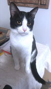 Elke - Photo 1