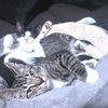 Mikhail - Photo 2