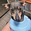 Blu Belle - Photo 1