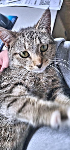 Bella photo 2