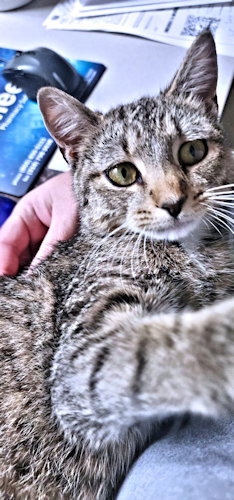 Bella photo 3