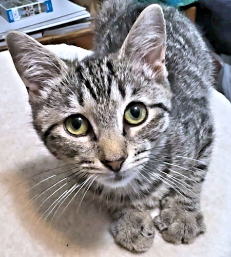 Photo 2 of Susan2