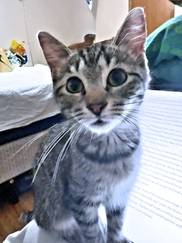 Photo 3 of Susan2