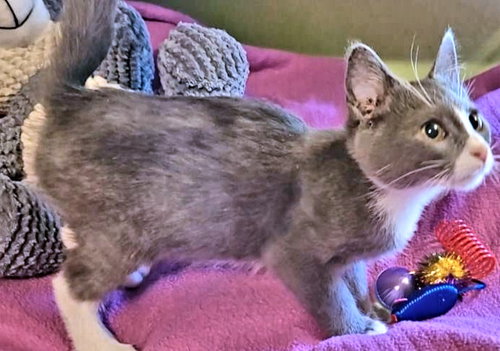 Photo 4 of Tabitha