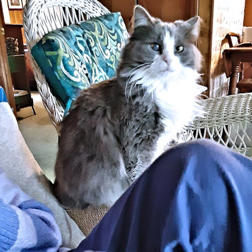Photo 2 of Freida