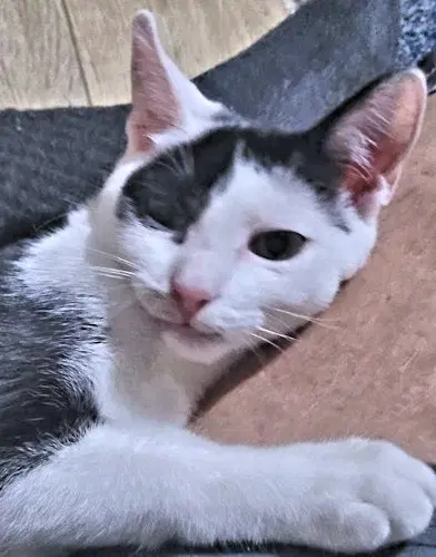 Happy image 2
