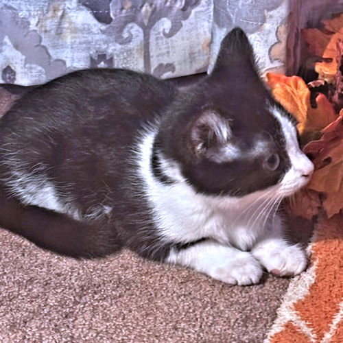 Baby, photo 2