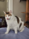 Lola - Photo 3