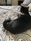 Shirley + Stanley - Photo 2