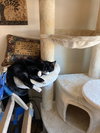 Shirley + Stanley - Photo 3