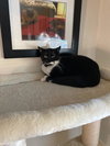 Shirley + Stanley - Photo 4